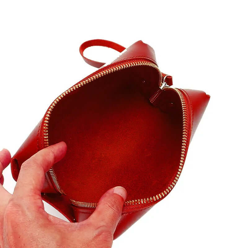 Cosmo Maroon women's handbag in maroon by Bag X